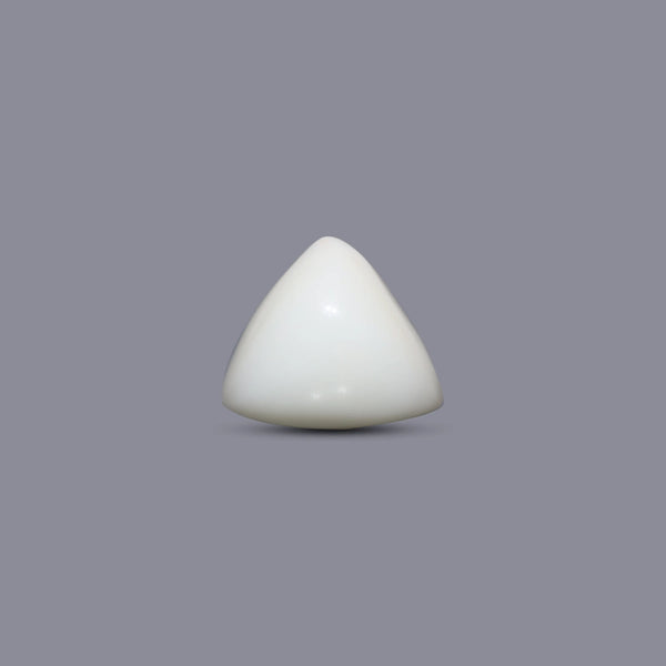 Italian White Coral - 7.45 Carat - Pramogh
