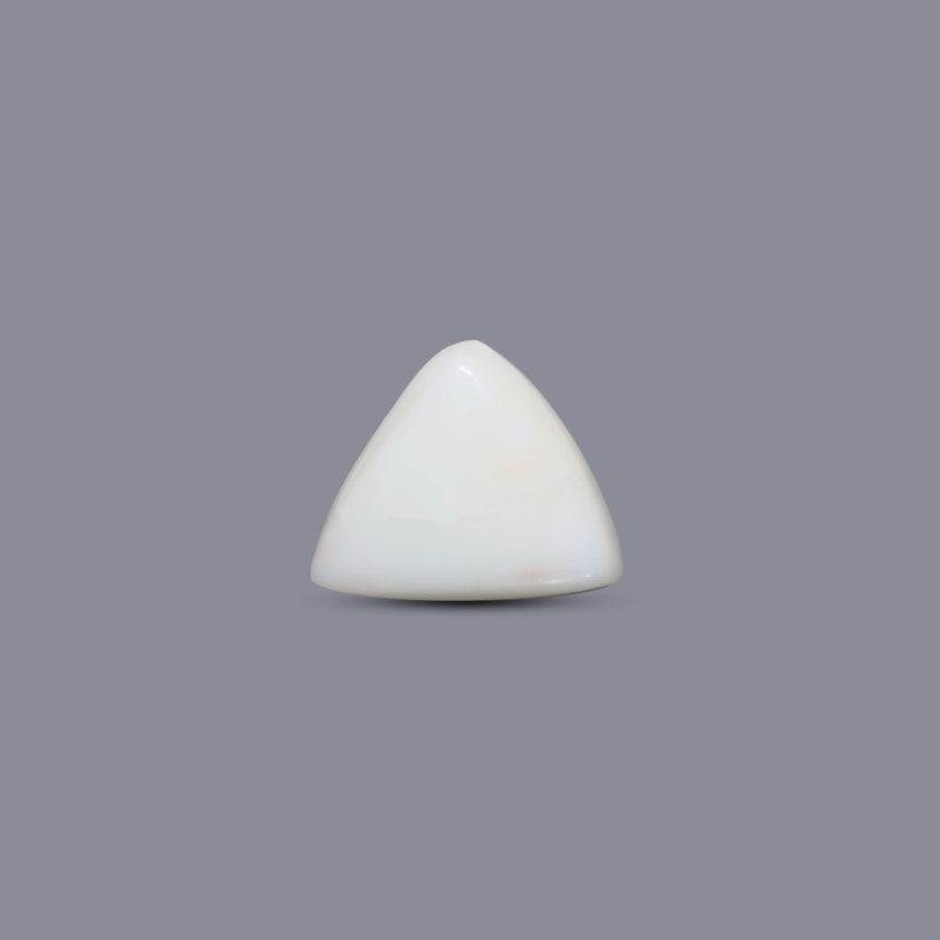 White Coral - 7.45 Carat