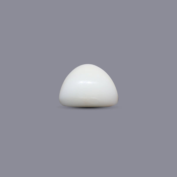 White Coral - 7.45 Carat