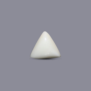 Italian White Coral - 6.85 Carat - Pramogh