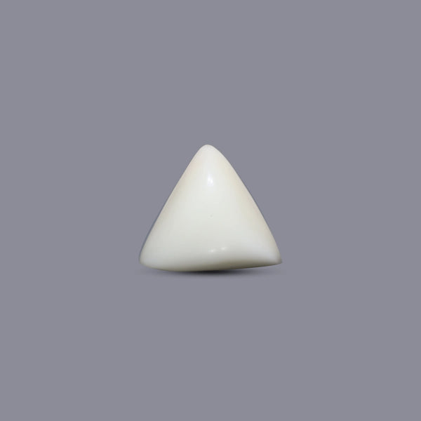 Italian White Coral - 6.85 Carat - Pramogh