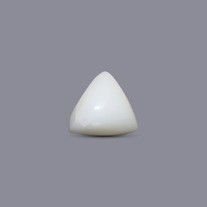 Italian White Coral - 6.1 Carat - Pramogh