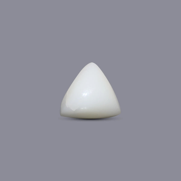 Italian White Coral - 6.1 Carat - Pramogh