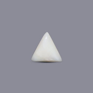 Italian White Coral - 5.65 Carat - Pramogh