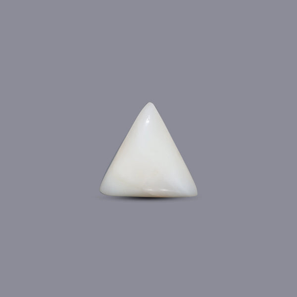 Italian White Coral - 5.65 Carat - Pramogh