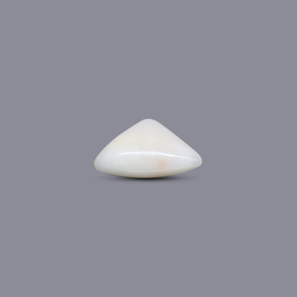 White Coral - 5.65 Carat