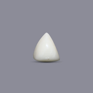 Italian White Coral - 8.1 Carat - Pramogh
