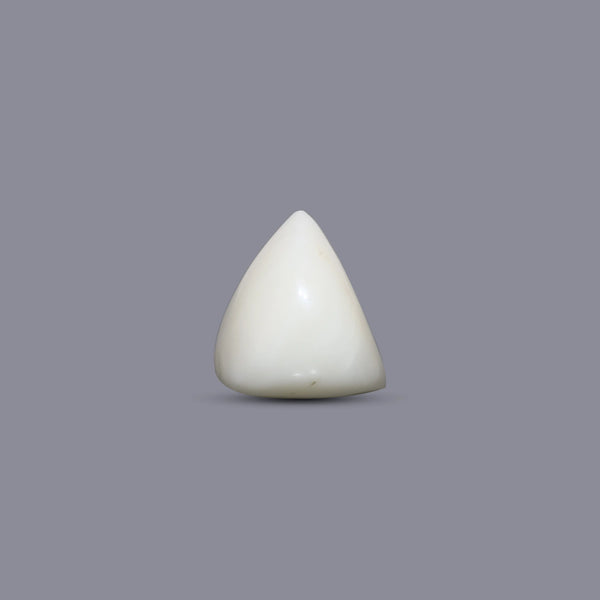 Italian White Coral - 8.1 Carat - Pramogh