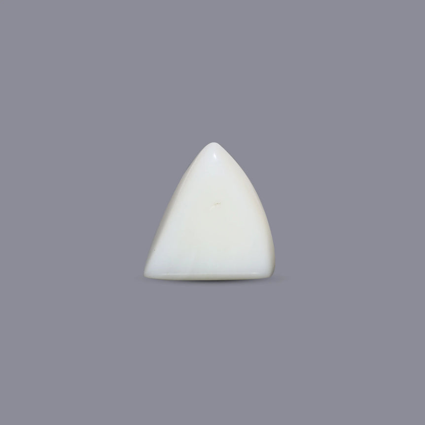 White Coral - 8.1 Carat