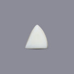 White Coral - 8.1 Carat