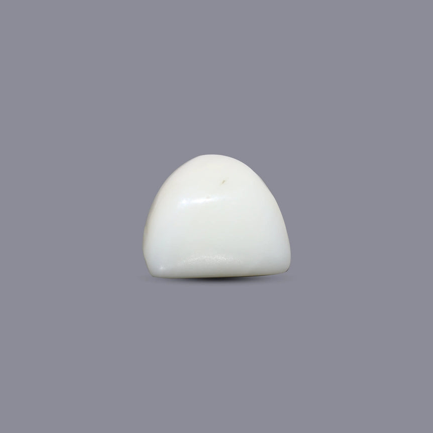 White Coral - 8.1 Carat