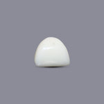 White Coral - 8.1 Carat