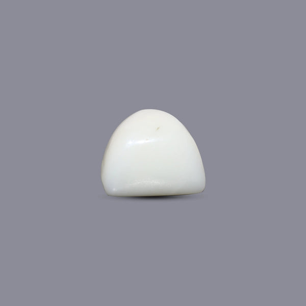White Coral - 8.1 Carat