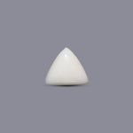 Italian White Coral - 10.25 Carat - Pramogh