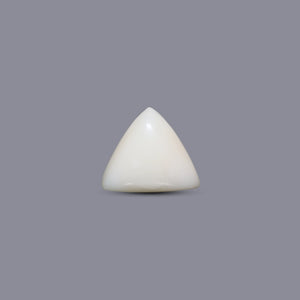 Italian White Coral - 10.25 Carat - Pramogh