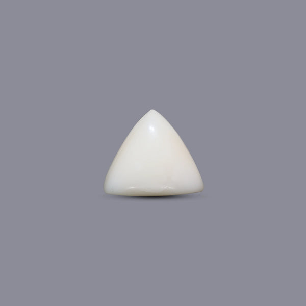 Italian White Coral - 10.25 Carat - Pramogh