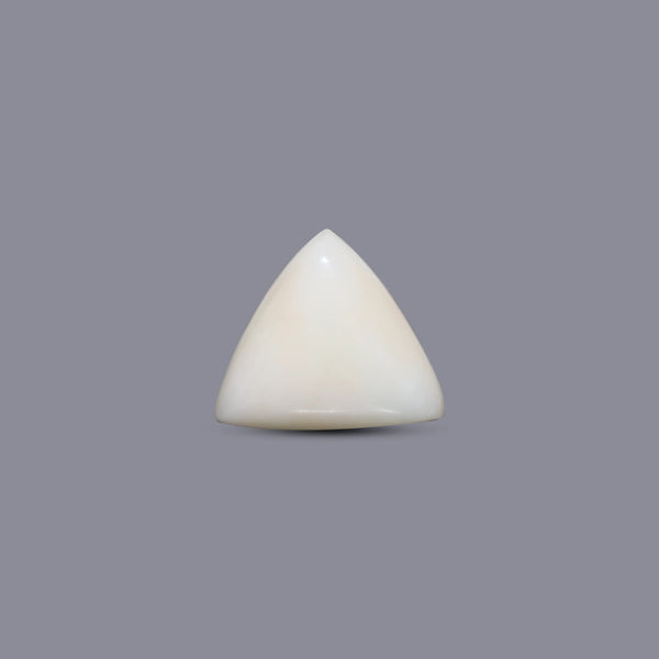 White Coral - 10.25 Carat