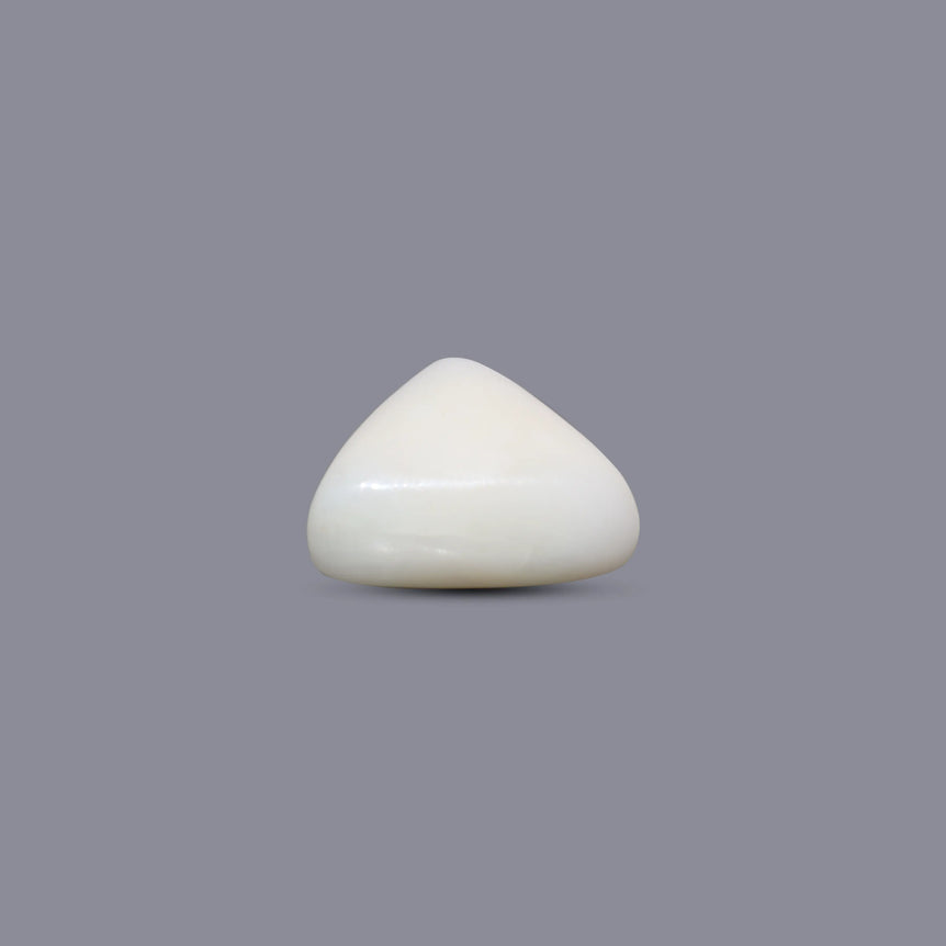 White Coral - 10.25 Carat