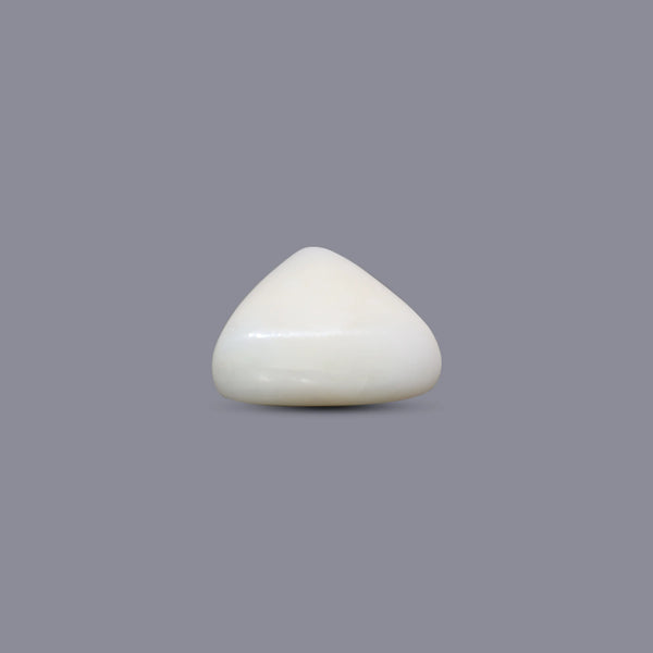 White Coral - 10.25 Carat