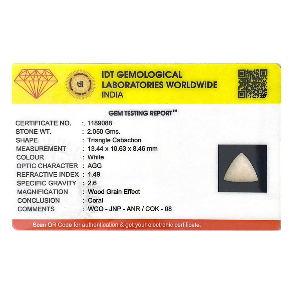 White Coral - 10.25 Carat