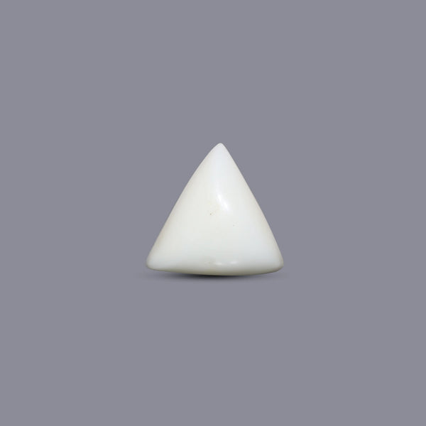 Italian White Coral - 8.1 Carat - Pramogh