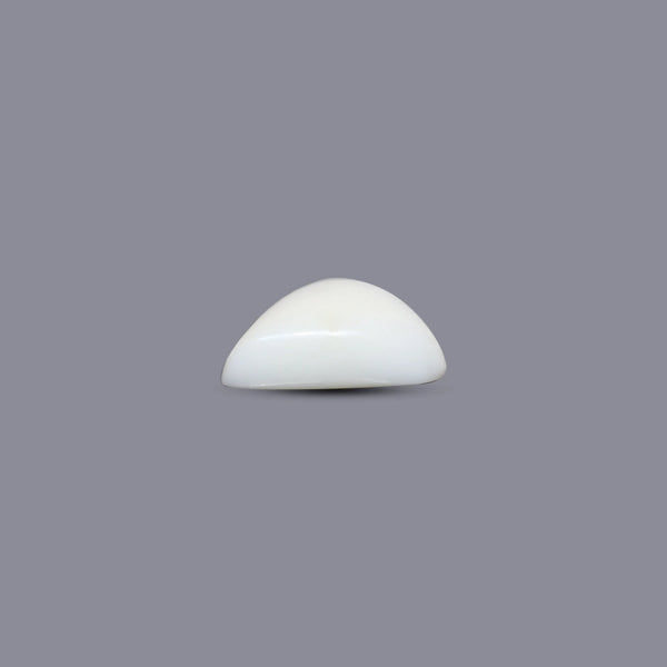 White Coral - 8.1 Carat