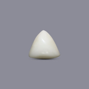 Italian White Coral - 7.2 Carat - Pramogh