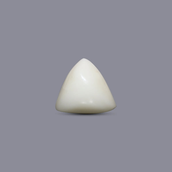 Italian White Coral - 7.2 Carat - Pramogh