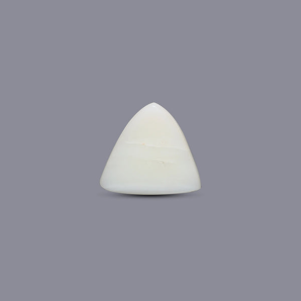 White Coral - 7.2 Carat