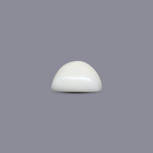 White Coral - 7.2 Carat