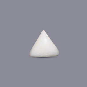Italian White Coral - 9.4 Carat - Pramogh