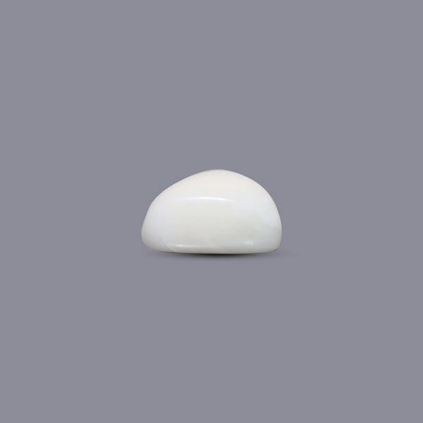 White Coral - 9.4 Carat