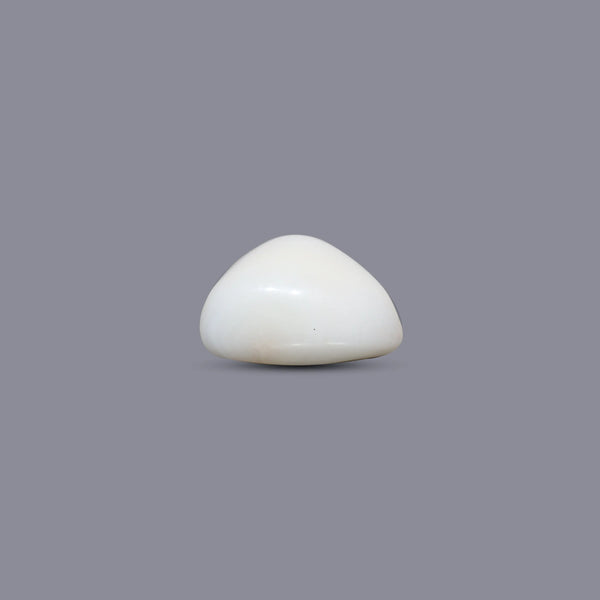 White Coral - 5 Carat