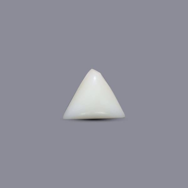 Italian White Coral - 5.25 Carat - Pramogh