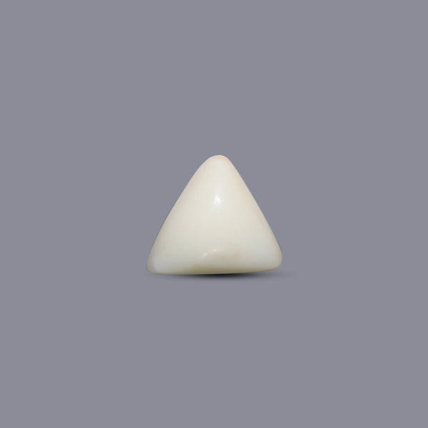 Italian White Coral - 5.75 Carat - Pramogh
