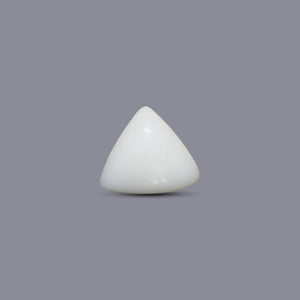 Italian White Coral - 5 Carat - Pramogh