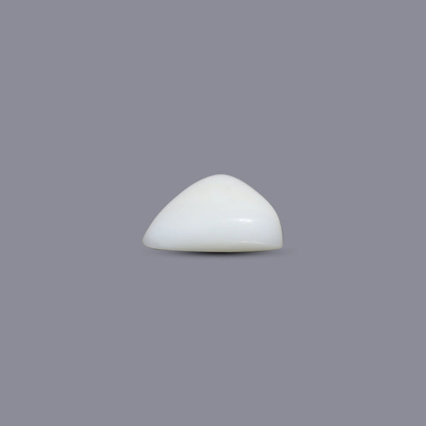 White Coral - 5 Carat