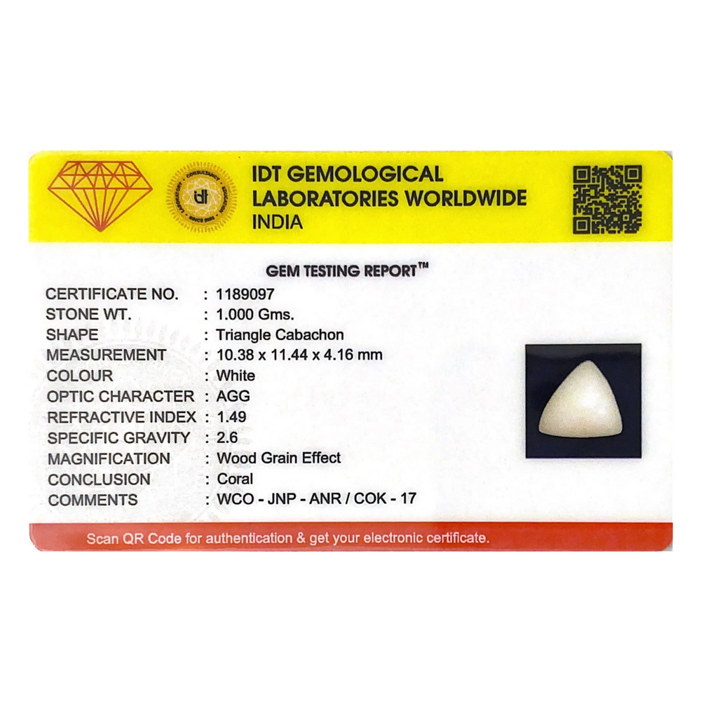 White Coral - 5 Carat