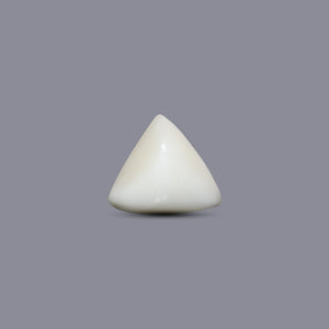 Italian White Coral - 7.7 Carat - Pramogh
