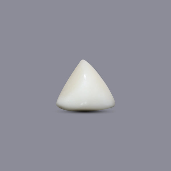 Italian White Coral - 7.7 Carat - Pramogh