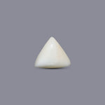 White Coral - 7.7 Carat