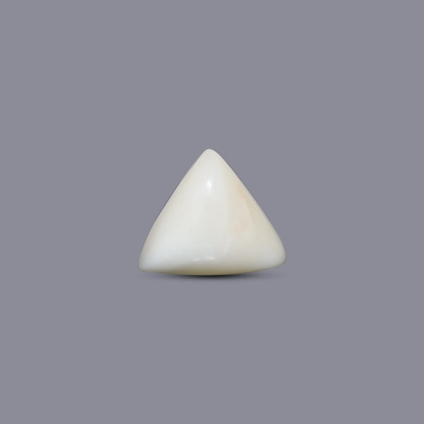 White Coral - 7.7 Carat