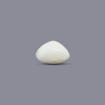 White Coral - 7.7 Carat