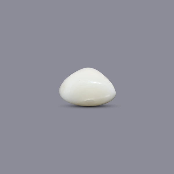White Coral - 7.7 Carat