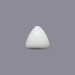 Italian White Coral - 5.6 Carat - Pramogh