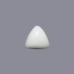 Italian White Coral - 5.6 Carat - Pramogh