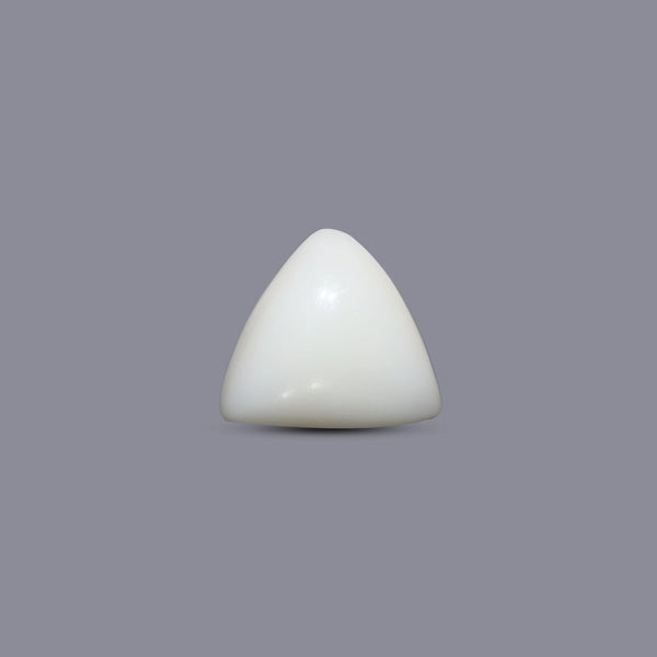 Italian White Coral - 5.6 Carat - Pramogh