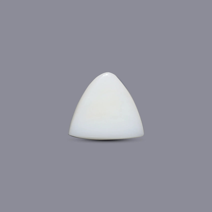 White Coral - 5.6 Carat