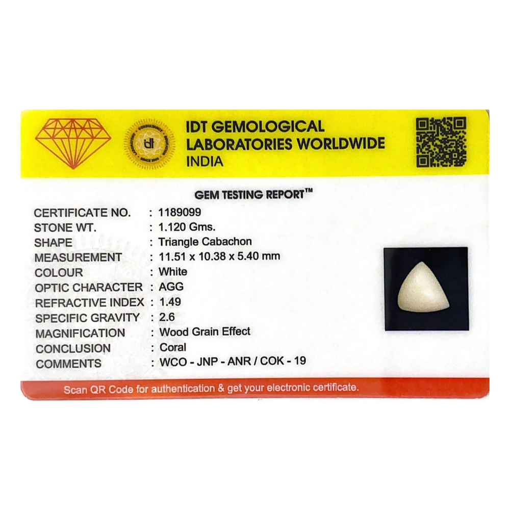 White Coral - 5.6 Carat