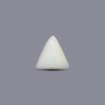 Italian White Coral - 6.1 Carat - Pramogh